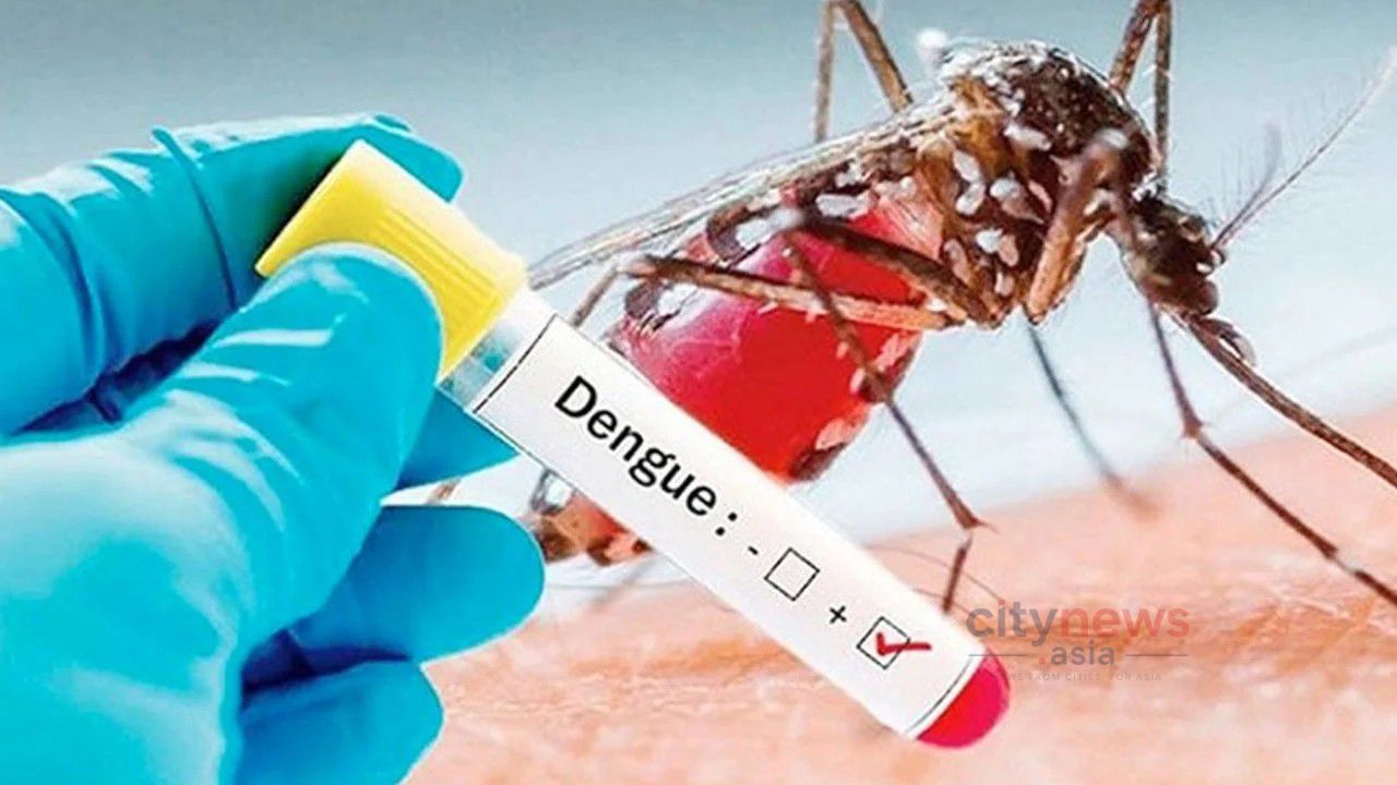 ডেঙ্গুতে আরও একজনের মৃত্যু, হাসপাতালে ভর্তি ৮৭০