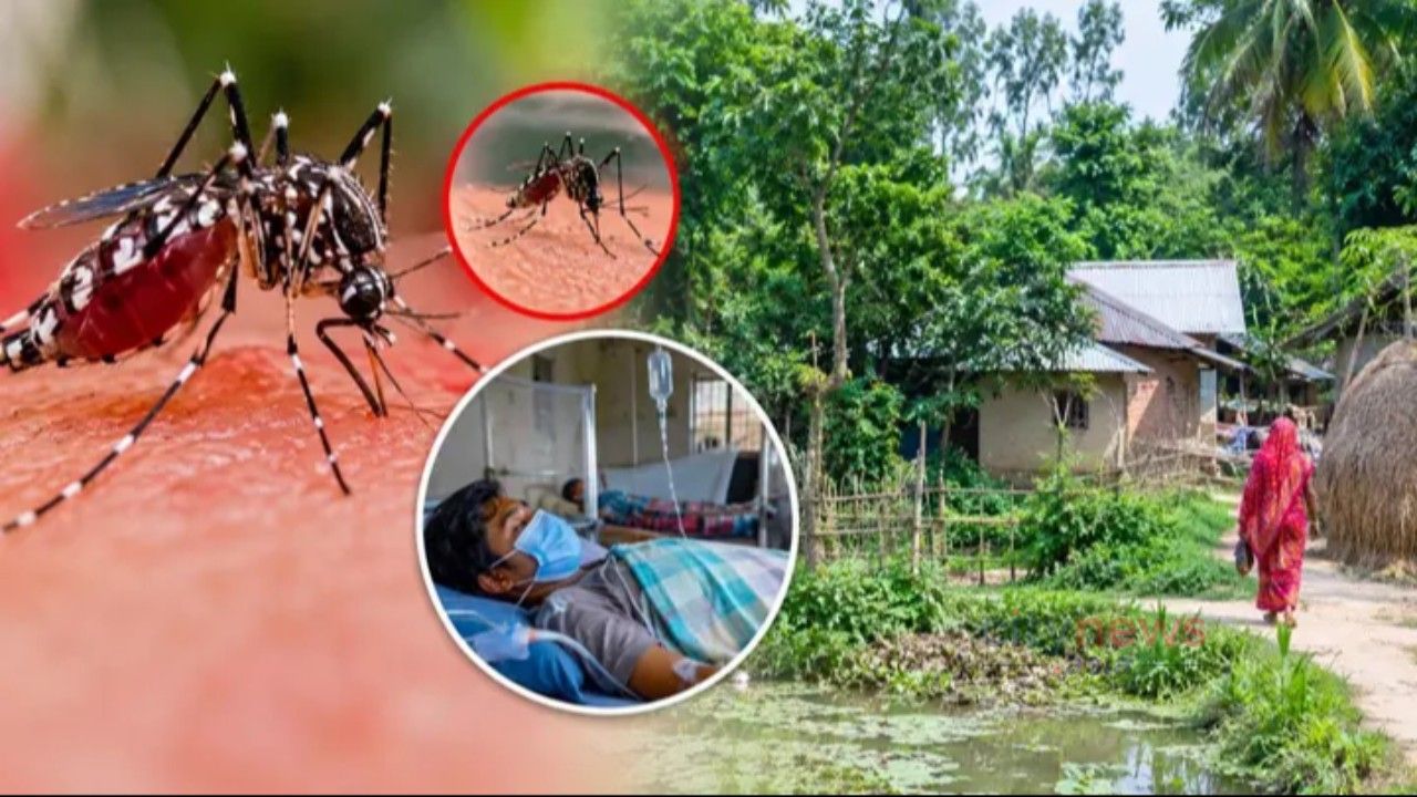 গ্রামেও বাড়ছে ডেঙ্গু, কোথাও পরীক্ষা বন্ধ, কোথাও রোগীর চাপ